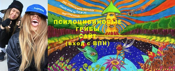 альфа пвп Киреевск